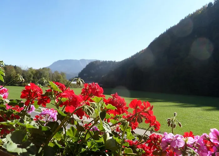 Haus Appesbacher * Saint Wolfgang