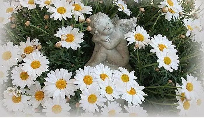 Haus Appesbacher Rum i privatbostad Saint Wolfgang