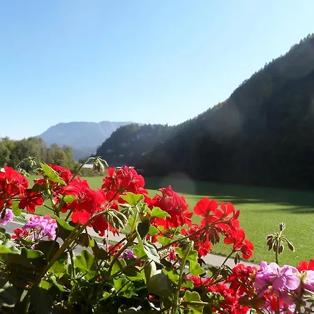 Haus Appesbacher * Saint Wolfgang