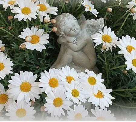 Haus Appesbacher Kwatera prywatna Saint Wolfgang